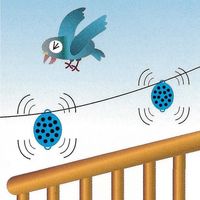 エスコ 鳥忌避磁石(2個) EA941-91 1セット(8個:2個×4個)（直送品）