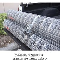 エスコ 226kg/25mmx4.8mベルト荷締機(エンドレス・ラチェット式 EA982BB-22C 1セット(3個)（直送品）