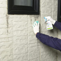 エクステリアクリーン 5L 屋外 玄関 ベランダ 洗剤 クリーナー 掃除 1個 日本ミラコン産業