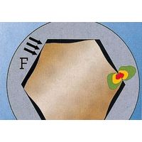 エスコ 3.5x 66mm [HexーPlus]キーレンチ EA573WK-3.5 1セット(50本)（直送品）