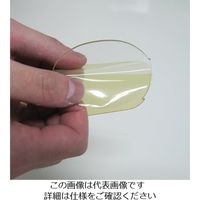 エスコ レンズ(EA800Z・EA800ZC用) EA800Z-1 1セット(10枚)（直送品）