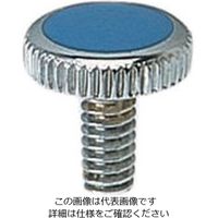 エスコ W3/16” /14x12mm 水栓ハンドル用ビス (青) EA468B-116 1セット(40個)（直送品）