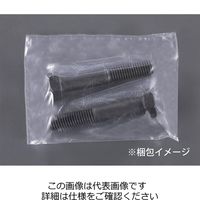 エスコ M20x100mm [高強度・高張力]六角ボルト(1個) EA949JC-4100 1セット(10個:1個×10袋)（直送品）