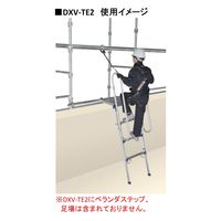 一体型手すり DXV-TE2 1セット（2本） ピカコーポレイション（直送品）