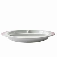 アースモス ランチプレート 吹付ピンク ワンディッシュプレート [1個入] vac-303-07005（直送品）