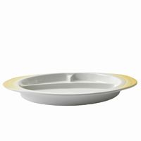 アースモス ランチプレート 吹付黄 ワンディッシュプレート [1個入] vac-306-07005（直送品）