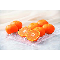 フルーツワールド 【お歳暮ギフト・熨斗付き】フルーツワールド 静岡みかん木箱入り 731242 1セット（直送品）