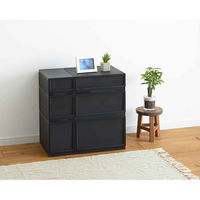 SANKA 収納ケース ナチュラ クリアモジュール LW 幅37.6×奥行35.5×高さ25cm ブラック 342772 1個（直送品）