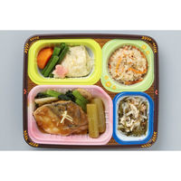 【施設・給食・食事】武蔵野フーズ 健康美膳（塩分・カロリー調整食） 和のおかずセット 1セット（14食：7食入×2箱） N-1　（直送品）