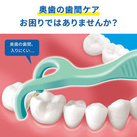 デンタルフロス Y字型 小林製薬の糸ようじ スルッと入るタイプ 1セット（18本入×3個）