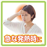 熱さまシート 大人用 リフレッシュミントの香り 1セット（12枚入×3箱）冷却用品 冷却シート 冷感 小林製薬