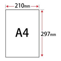 日本紙パルプ商事 香料試験紙 0.32mm A4サイズ:100枚 004-0253 1冊(100枚)（直送品）