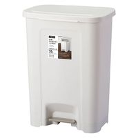 アスベル エバンペダルペール35L 6005 1個（直送品）