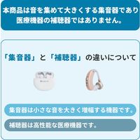 小林薬品 RABLISS ワイヤレス集音器 KO288 10002207 1個