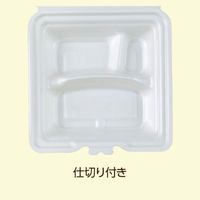 弁当容器 テイクアウトボックス24-24CB 300枚(50枚×6) 255605 1ケース(300枚入(50枚×6袋))（直送品）