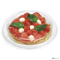 デンカポリマー 麺・スープ容器 TPライトボウル-195本体E 和紙白 1200枚(50枚×24) 45813（直送品）