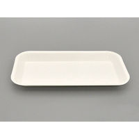 ペーパーウェア 紙トレー CT-2 クリーントレーNo.2 3000枚(100枚×30) 1ケース(3000枚入(100枚×30袋))（直送品）