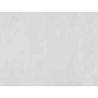 アイリスオーヤマ ボックスシーツ 防水 ダブル D 丸洗いOK 透湿防水 マットレスカバー 寝具カバー BXS-TCST-D ライトグレー 1枚