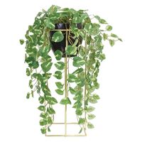 アントレックス bcl フェイクグリーン スタンドポット 幅210×奥行210×高さ630mm ポトス 4992831250456 1個（直送品）