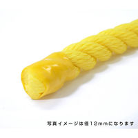 伊藤製鋼 ポリエチレンロープ　黄　４ｍｍ　２００ｍ巻 6300040563 1巻（直送品）