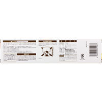 大日産業 HouseLab フリーザーバッグ 大 10枚 667102 1ケース(30個入)（直送品）