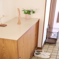 丸十 スタンダップくつべら 22cm V-194 1本