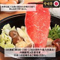 南日本フレッシュフード 宮崎牛肩ロースすき焼き400g FG-800 901167340 1セット（直送品）