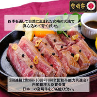 南日本フレッシュフード 宮崎牛ロースワンポンドステーキ454g WF-130 901041845 1セット（直送品）