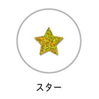 クローズ・ピン グリッターシール スター US16180 1セット(10パック)（直送品）