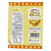 松山製菓 テキサスコーンコーンポタージュ 10g×30個 691236 1セット（10g×30個）（直送品）