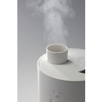 スリーアップ 上部給水式スチーム加湿器フォグチムニー ホワイト ST-T2140WH 1台（直送品）