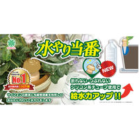 水やり当番M 10個 4977938104482 1セット:2個 マルハチ産業（直送品）