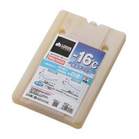 氷点下パックGT-16℃・ハード900g 81660613 1個 LOGOS/ロゴス