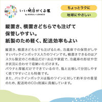 【アスクル・ロハコ限定】白ワイン　チリ　サンタ・レジーナ BIB シャルドネ 3L 1個 辛口 オリジナル