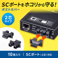 サンワサプライ SCポートダストカバー（2芯タイプ） HKB-TLDST4 1個（直送品）