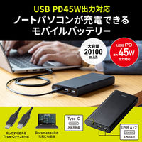 サンワサプライ USB PD対応モバイルバッテリー(20100mAh・PD45W) BTL-RDC26 1個（直送品）