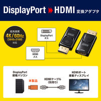 サンワサプライ DisplayPort-HDMI 変換アダプタ(4K/60Hz対応) AD-DPPHD02 1個（直送品）