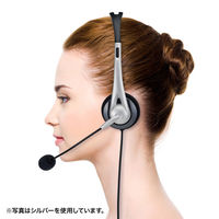 サンワサプライ USBヘッドセット(ホワイト) MM-HSUSB16WN 1個（直送品）