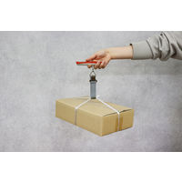 ドリテック ラゲッジスケール オレンジ LS-107OR 1個