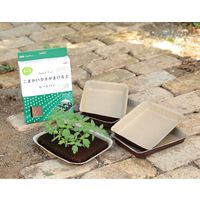 サカタのタネ サカタ SF ピートバン 5枚入 2100452 1セット