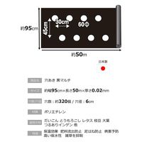 岩谷マテリアル 岩谷 穴あき大根黒マルチ0.02mm×950mm×50m 2100718 1巻（直送品）