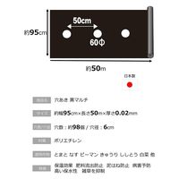 岩谷マテリアル 岩谷 穴あきトマト黒マルチ 0.02×950×50m 2100719 1巻
