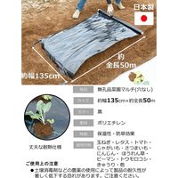 岩谷マテリアル 岩谷 菜園用黒マルチ 0.02mm×1350mm×50m 2100735 1巻（直送品）