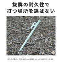 ラプラス MP-002-RG鍛造ペグ 20cm RG　1本（直送品）