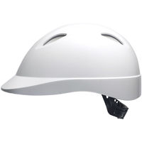 【ヘルメット】 DICプラスチック 自転車用ヘルメット ベンチレーション付き TS06V-2 L 1個