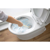 サンコー 抗菌トイレクリーナーケース付DXサトミツ棒 グレー BA-61 1個