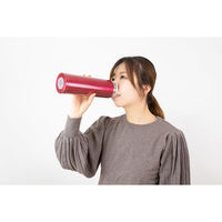 和平フレイズ フォルテック サースティマグボトル800ml(レッド) RH-1606 1個