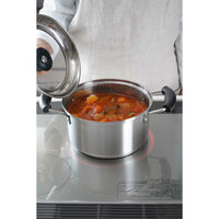 和平フレイズ ローザー IH対応両手鍋24cm RB-2318 1セット(4個)