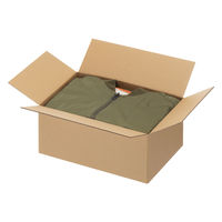 【80サイズ】現場のチカラ エコノミータイプ 軽梱包用ダンボール 靴・ブルゾン向けサイズ 外寸：352×232×166mm 1セット（100枚） オリジナル