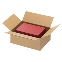 【100サイズ】現場のチカラ エコノミータイプ 軽梱包用ダンボール 靴箱梱包向けサイズ 外寸：391×279×172mm 1セット（200枚） オリジナル